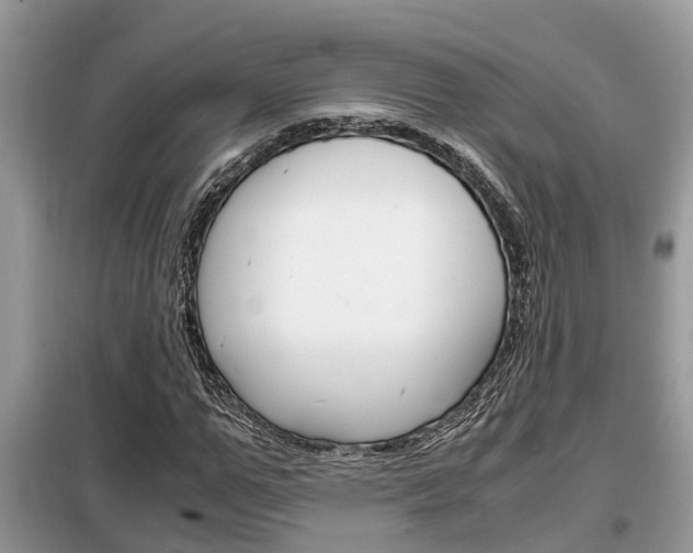 X0000099290967200805020729