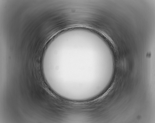 X0000099290969200805020729