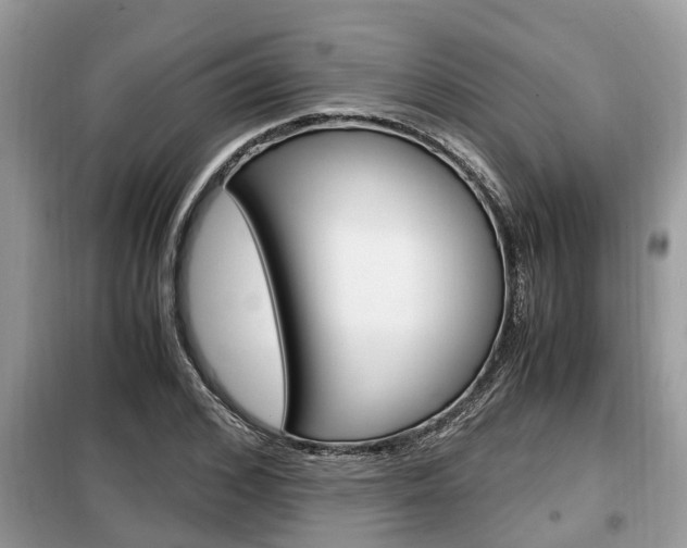 X0000099290976200805020729