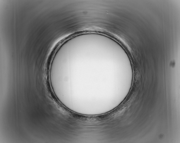 X0000099290979200805020729
