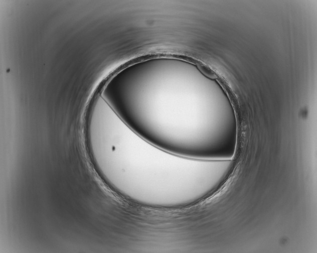 X0000099290981200805020729