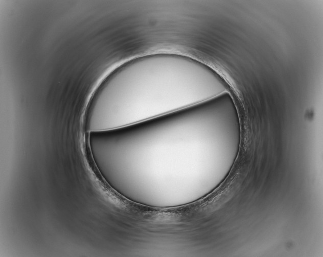 X0000099290984200805020729