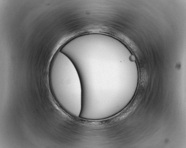 X0000099290986200805020729