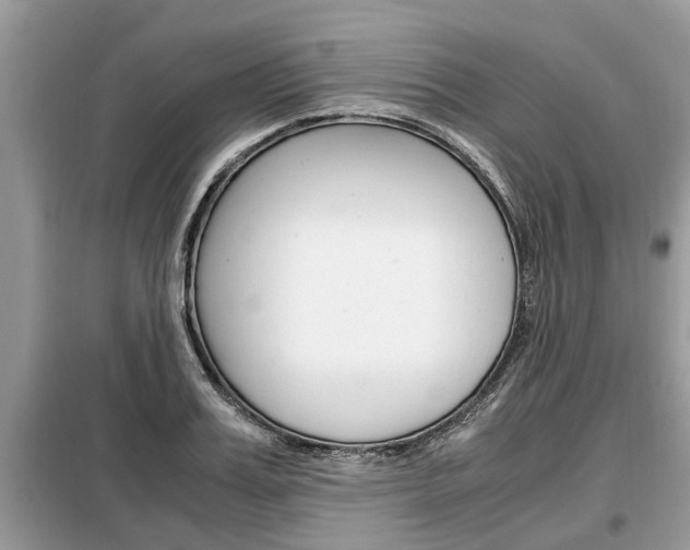 X0000099290987200805020729