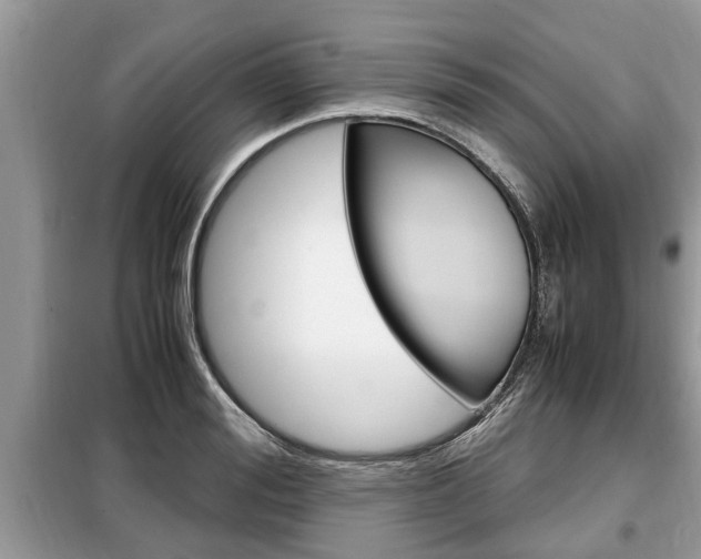 X0000099290988200805020729