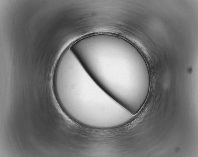 X0000099290991200805020729