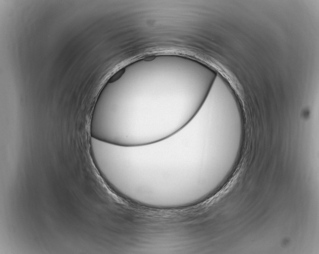 X0000099290993200805020729