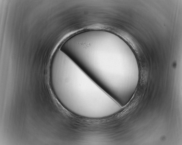 X0000099291000200805020729