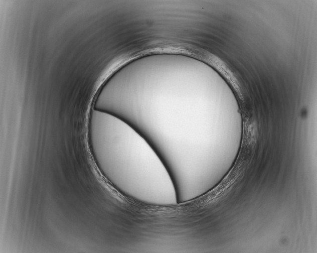 X0000099291002200805020729