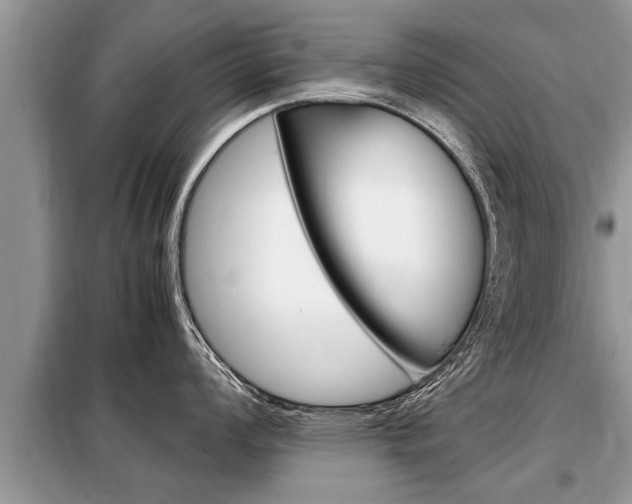 X0000099291008200805020729