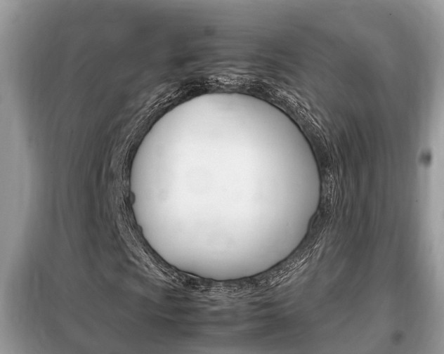 X0000099291009200805020728