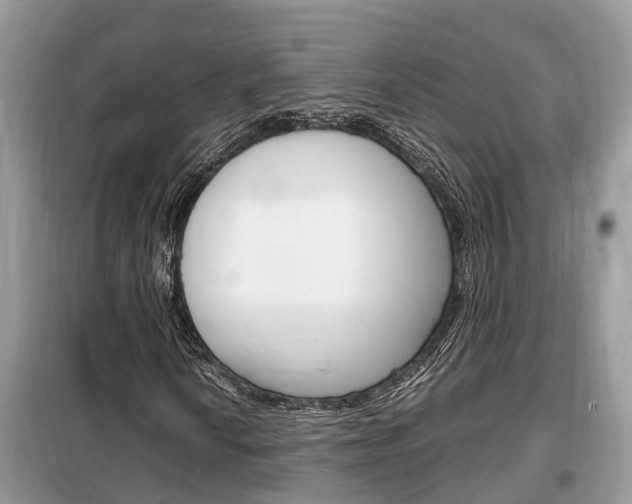 X0000099291010200805020728