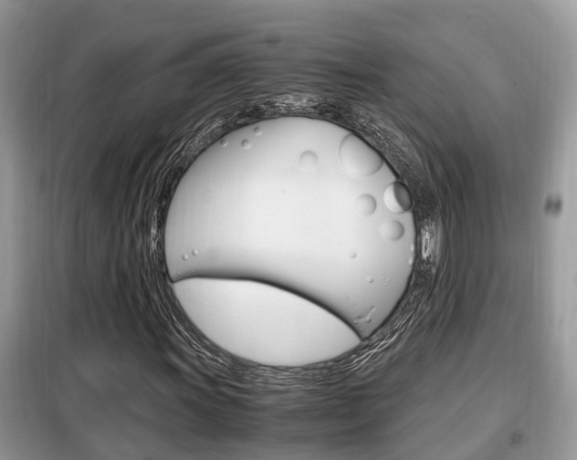 X0000099291011200805020728