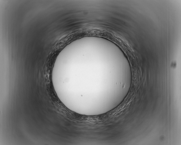 X0000099291013200805020728