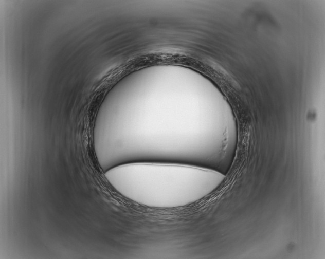 X0000099291014200805020728