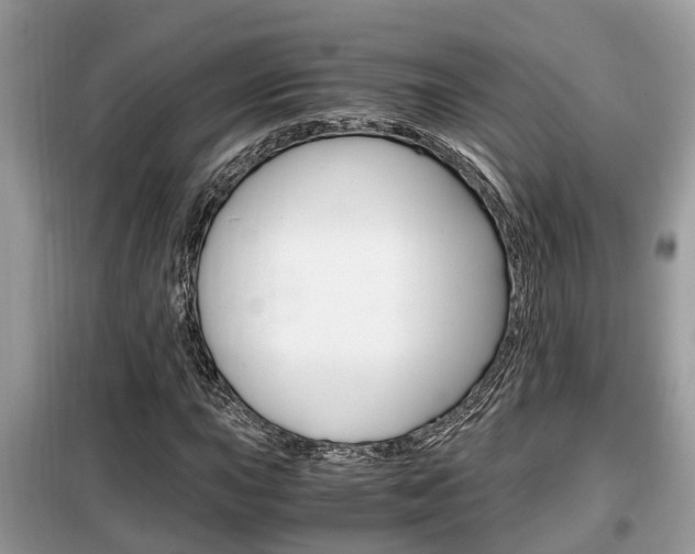X0000099291015200805020728