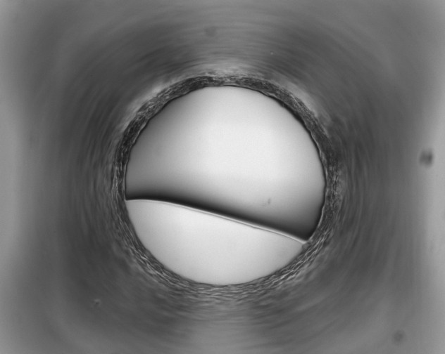 X0000099291016200805020728