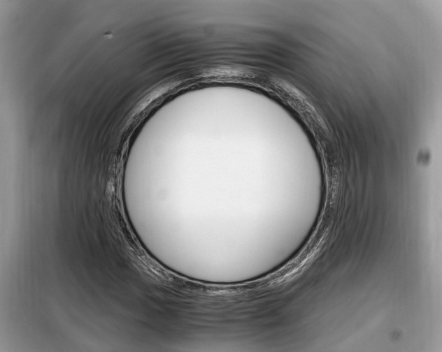 X0000099291017200805020728