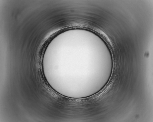 X0000099291019200805020728