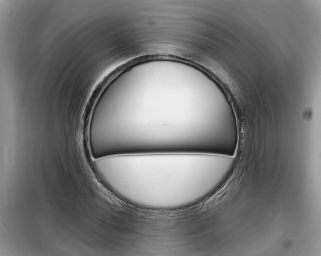X0000099291020200805020728