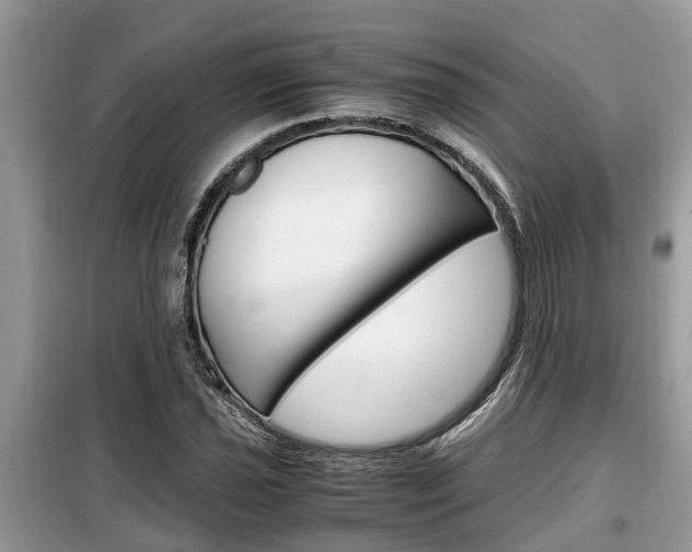 X0000099291021200805020728