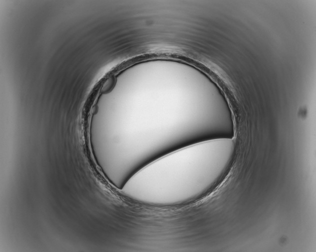 X0000099291022200805020728