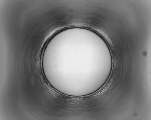 X0000099291023200805020728