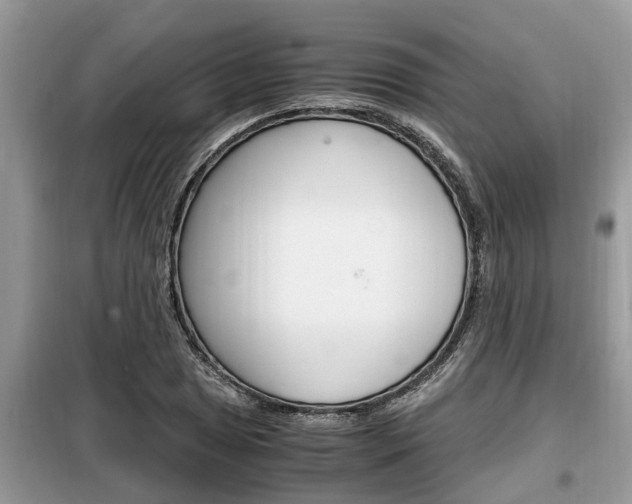 X0000099291025200805020728