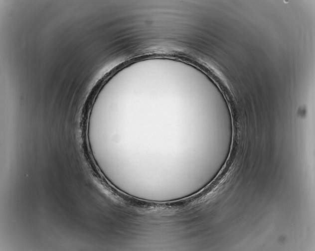 X0000099291026200805020728