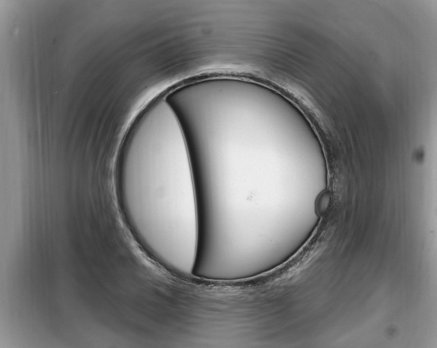 X0000099291030200805020728