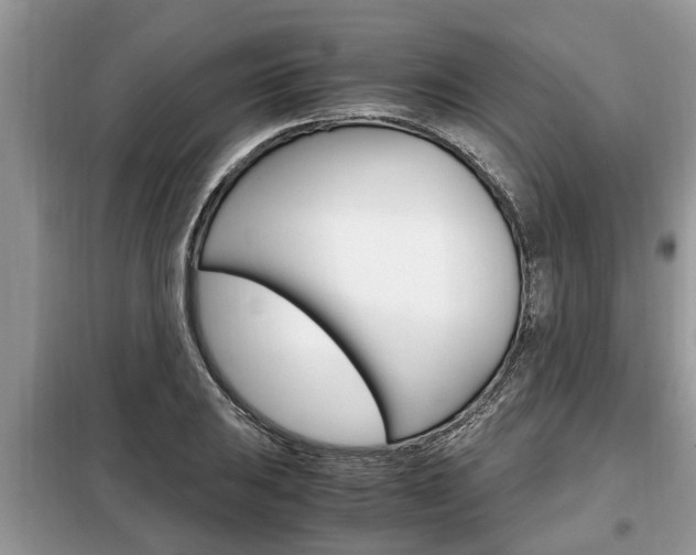 X0000099291031200805020728