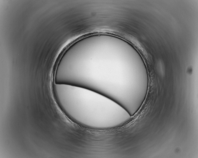 X0000099291032200805020728