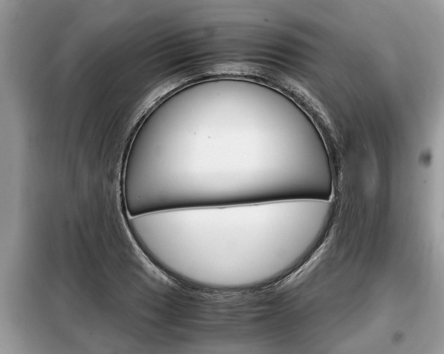 X0000099291033200805020728