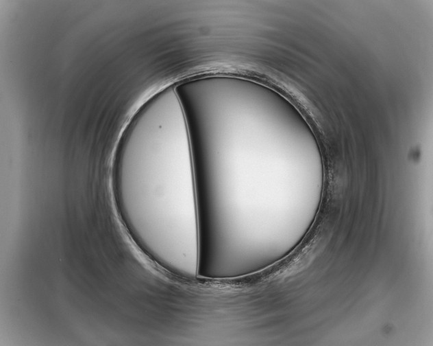 X0000099291034200805020728