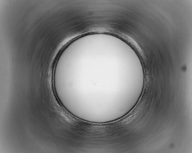 X0000099291035200805020728