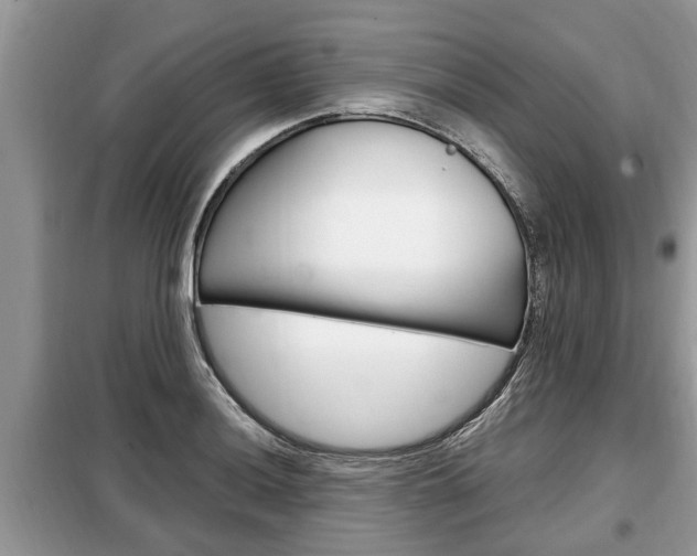 X0000099291036200805020728