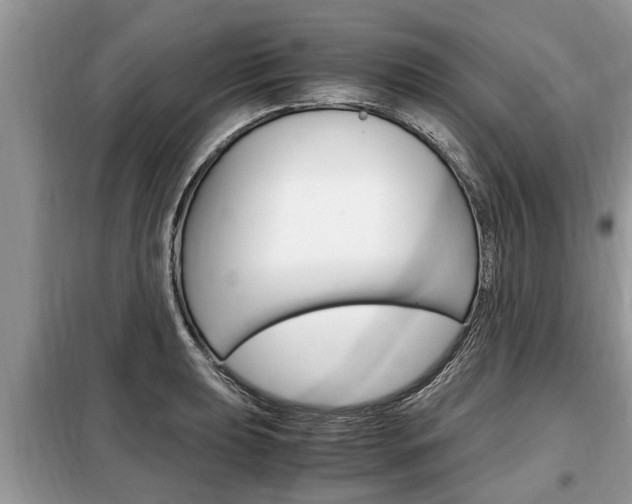 X0000099291039200805020728