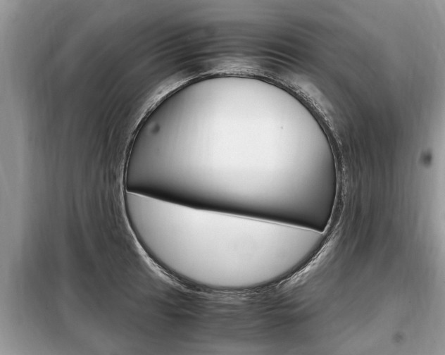 X0000099291041200805020728