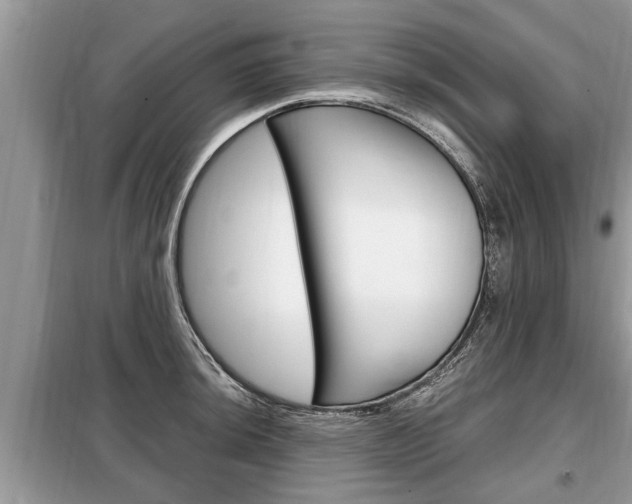 X0000099291044200805020728