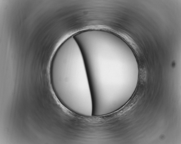 X0000099291046200805020728