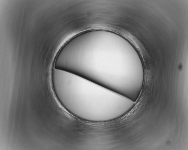 X0000099291048200805020728