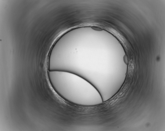 X0000099291055200805020729