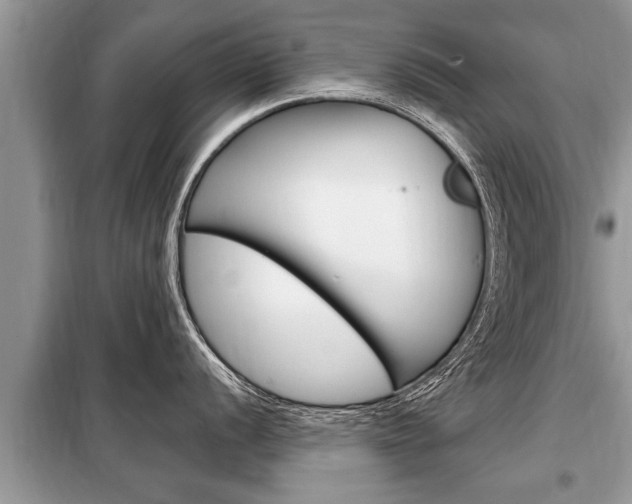 X0000099291056200805020729