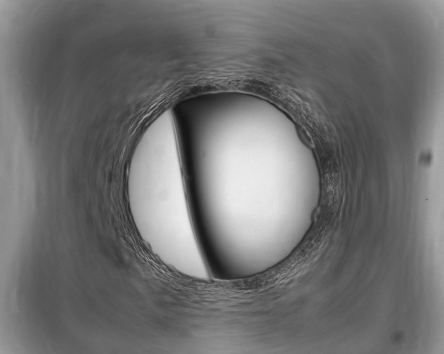 X0000099291057200805020728