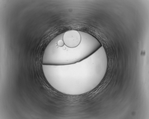X0000099291058200805020728
