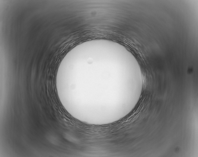 X0000099291059200805020728