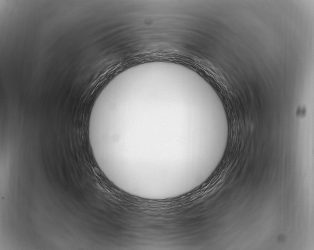 X0000099291060200805020728