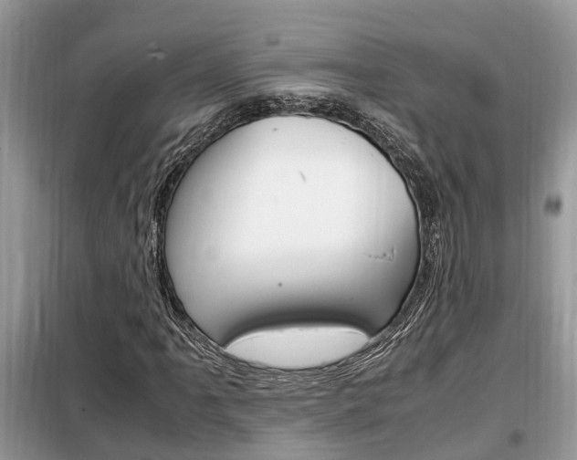 X0000099291061200805020728