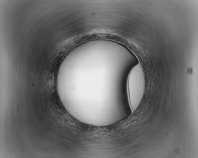 X0000099291062200805020728