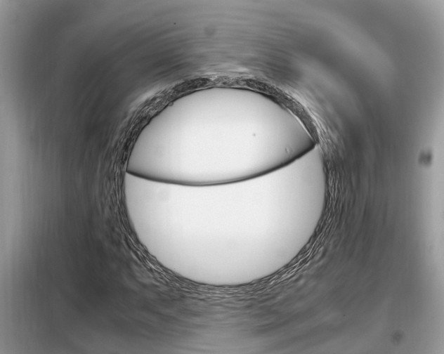 X0000099291063200805020728